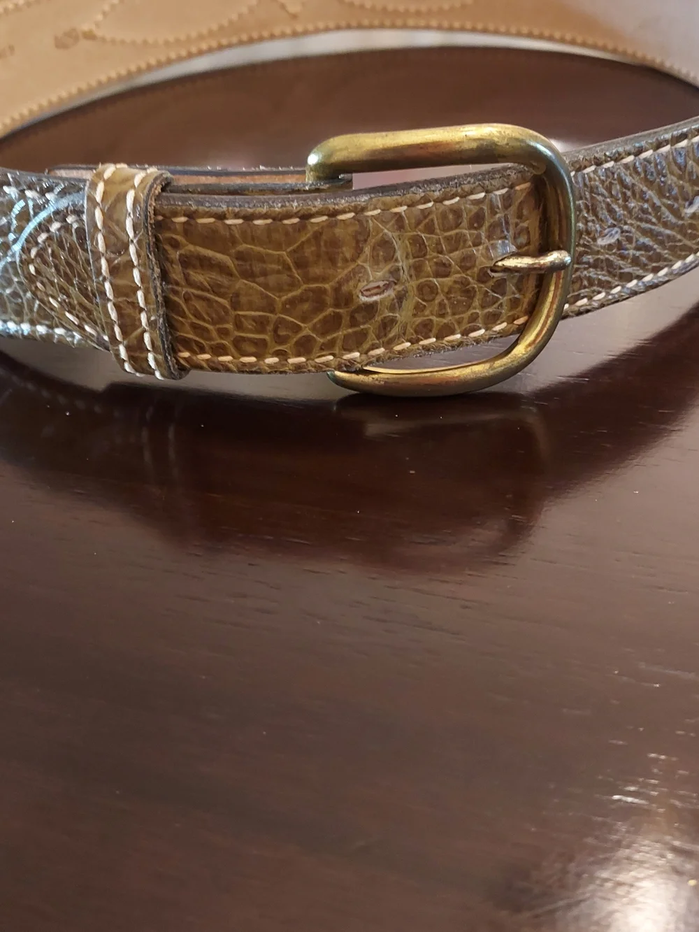 Unisex Two-Tone Brown Western Leather Belt with Textured Panels. SZ. 32